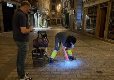 Refuerzan las tareas de desratización e intensifican la campaña de lucha contra roedores