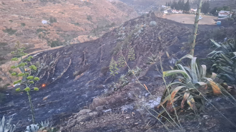 Gran Canaria, en tensión por las altas temperaturas, logra controlar un conato de incendio forestal