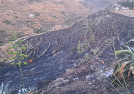 Gran Canaria, en tensión por las altas temperaturas, logra controlar un conato de incendio forestal
