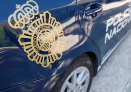 La conductora implicada en el atropello mortal a un niño en un paso de peatones es novel y dio negativo en alcohol