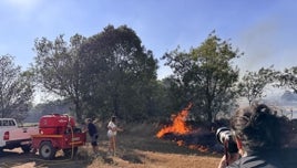 Evolución «favorable» del incendio de Navaluenga (Ávila), que ha calcinado unas 1.500 hectáreas