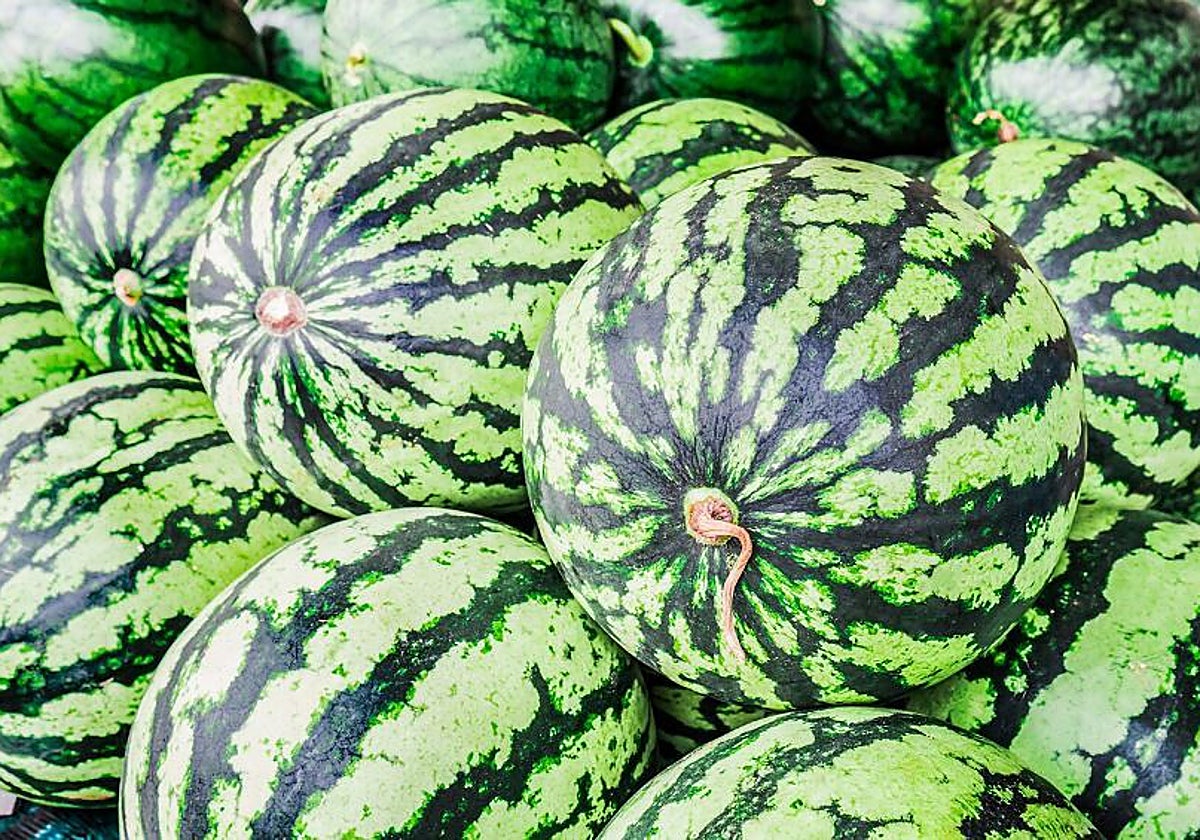 La superficie sembrada ha aumentado un 8%