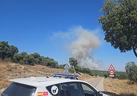 Cortado un tramo de la M-618 por un incendio forestal en Colmenar Viejo