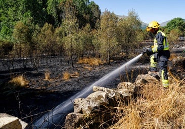 Reactivado el incendio de Navaluenga, en Ávila, en el que trabajan una veintena de medios aéreos y terrestres