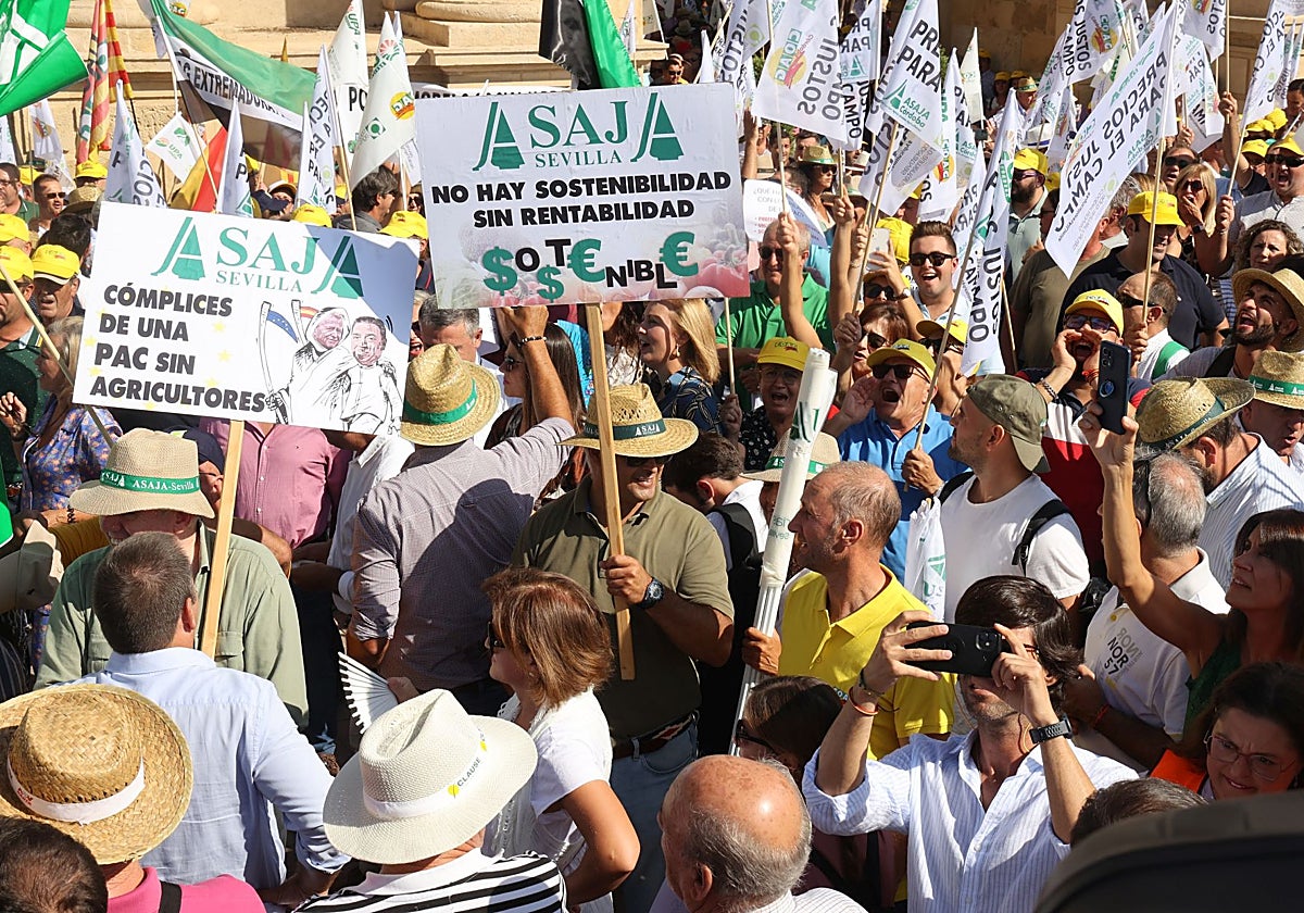 Asaja teme un «varapalo» para todos los sectores de la agricultura y la ganadería en Córdoba por la futura PAC