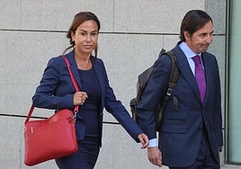 Pardo de Vera niega ilegalidades y defiende que atendía las peticiones de Koldo porque era asesor de Ábalos