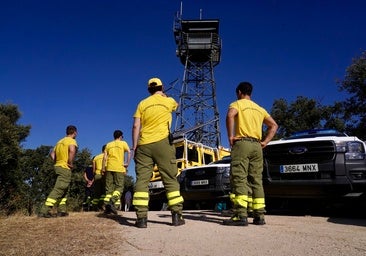 Las llamas rozan el Zoo de Madrid tras un pequeño incendio de pastos en la Casa de Campo