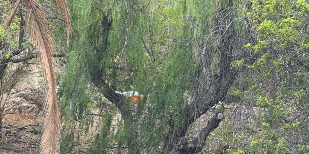 Se investiga el hallazgo de un cadáver en avanzado estado de descomposición en Las Palmas de Gran Canaria