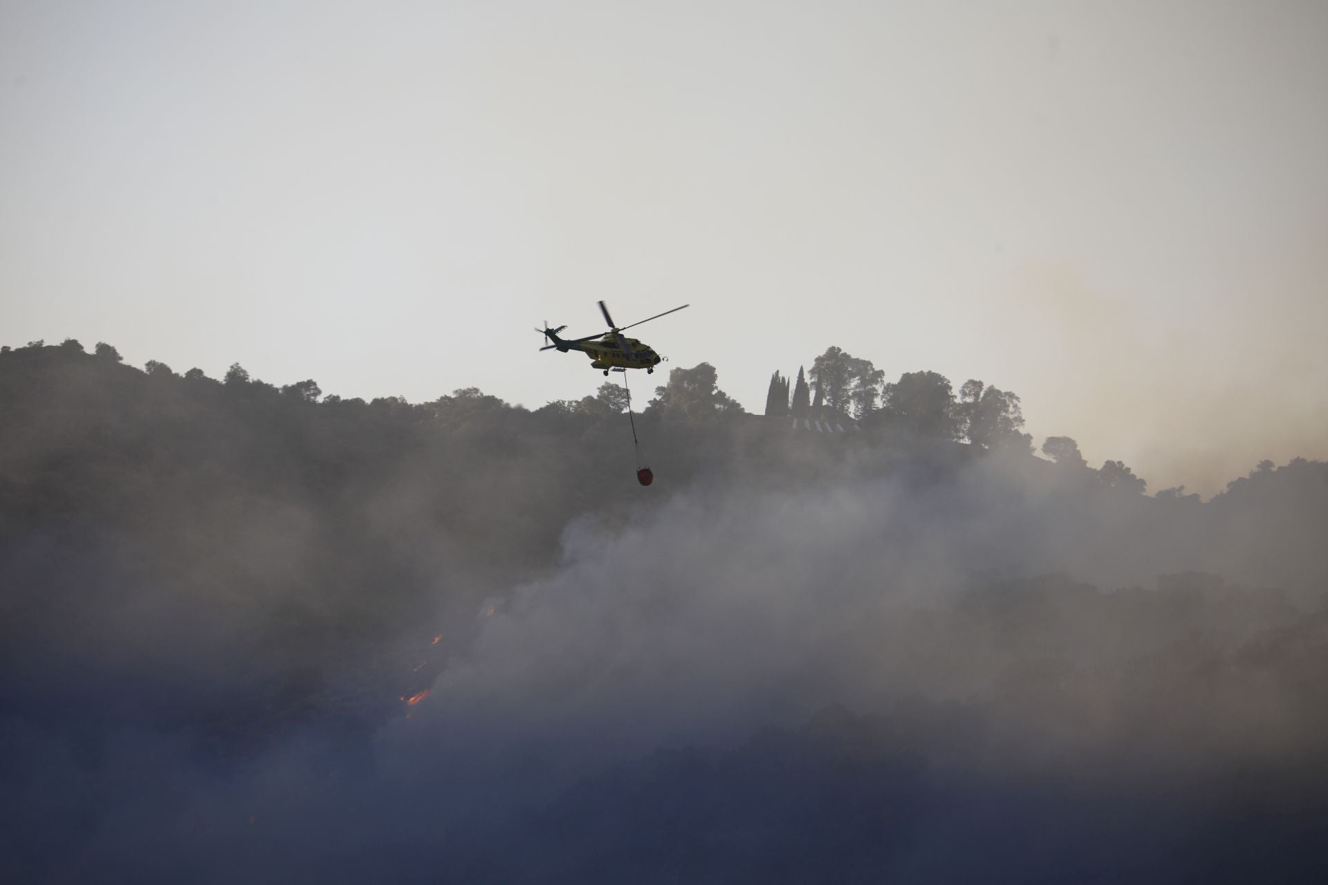 El incendio en la zona del Castillo de la Albaida en Córdoba, en imágenes