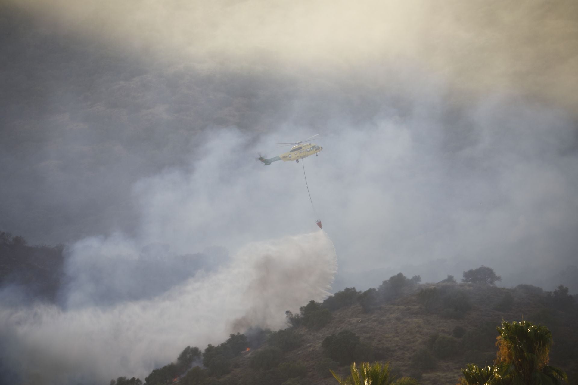 El incendio en la zona del Castillo de la Albaida en Córdoba, en imágenes