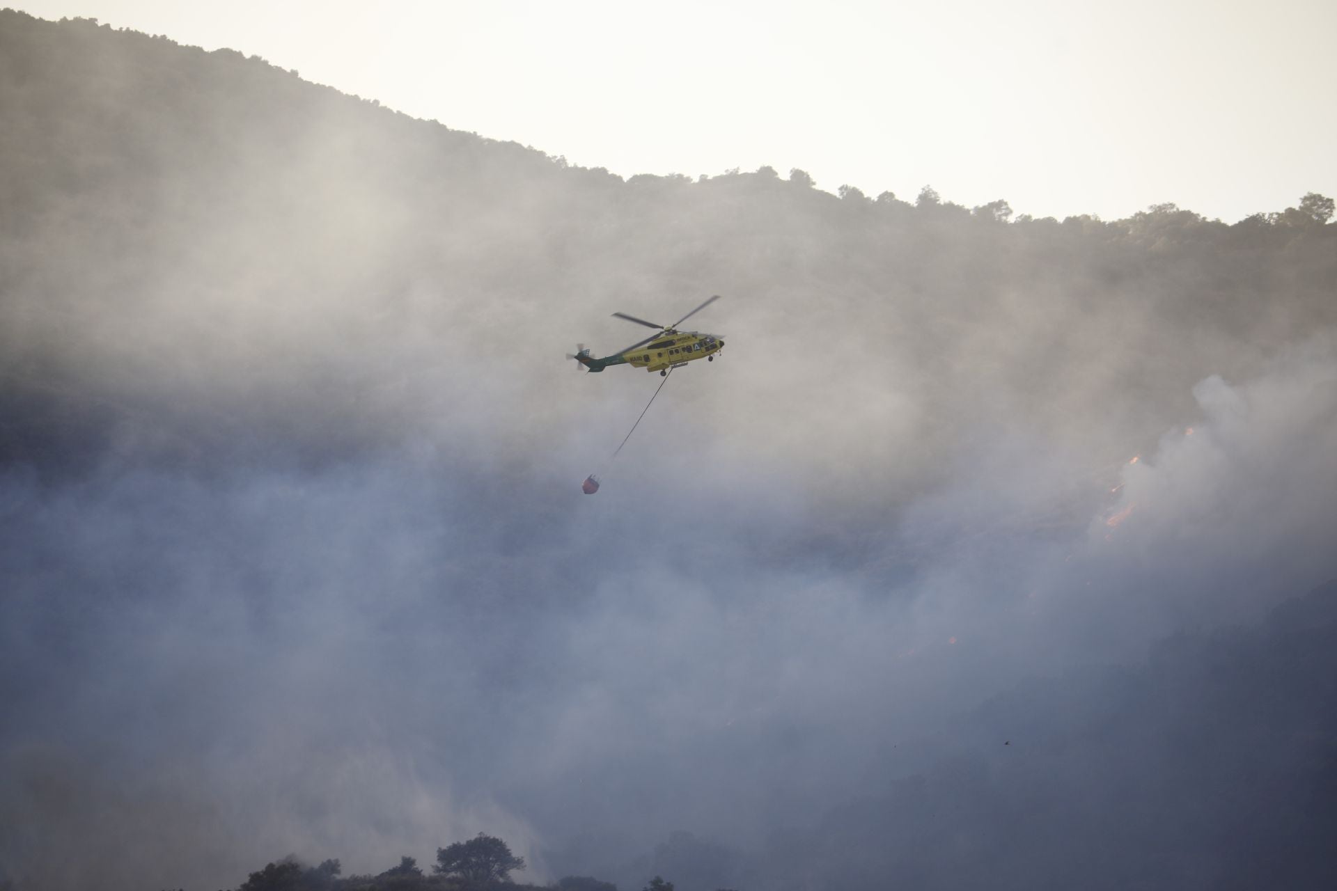 El incendio en la zona del Castillo de la Albaida en Córdoba, en imágenes