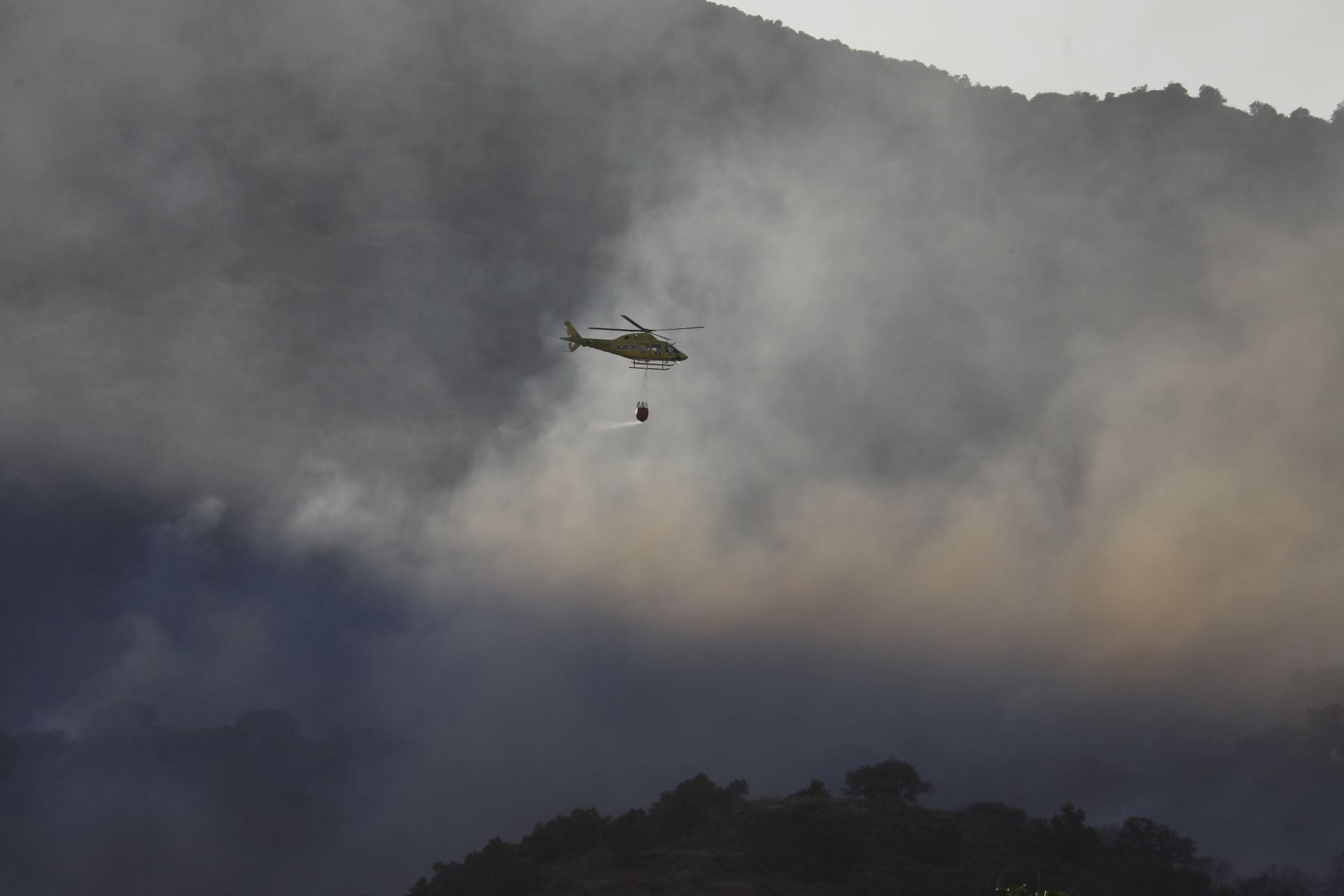 El incendio en la zona del Castillo de la Albaida en Córdoba, en imágenes
