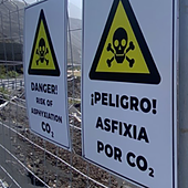 La espera más larga del volcán de La Palma: 11 familias de La Bombilla y Puerto Naos vuelven a casa casi cuatro años después