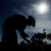 Muere un trabajador aplastado por una carretilla en una empresa de fruta de Huesca