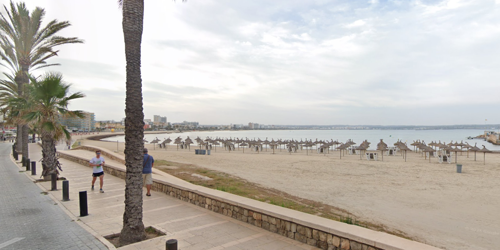 Limitan el baño en la Playa de Palma tras el mordisco de un animal desconocido a una anciana