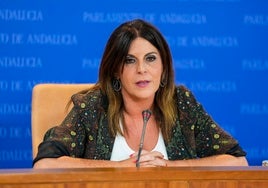 El PSOE-A pide que «se haga lo que se tenga que hacer» para que el hijo de Juana Rivas se quede con su madre