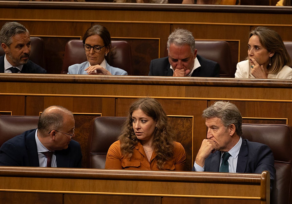 Alberto Núñez Feijóo en el Congreso