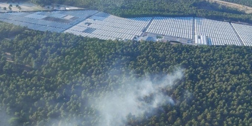 Movilizada una veintena de medios aéreos y terrestres por un incendio en un pinar de Coca (Segovia)