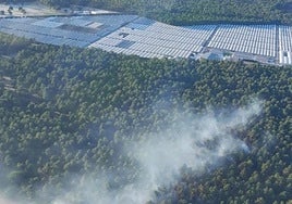 Controlado el incendio en un pinar de Coca (Segovia)