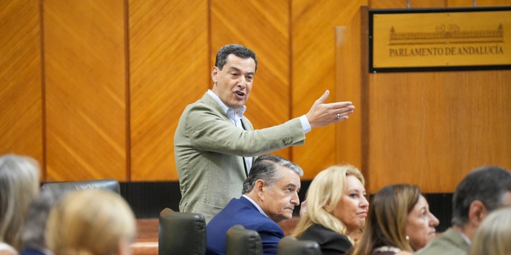 Juanma Moreno, tras la dimisión de la diputada del PP Noelia Núñez: «Mi currículum está en la web de la Junta de Andalucía desde hace diez años»