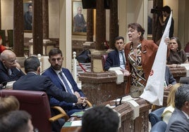 Vox se querella contra una diputada de Podemos Murcia que entregó a su presidente provincial un capirote similar a los del Ku Klux Klan