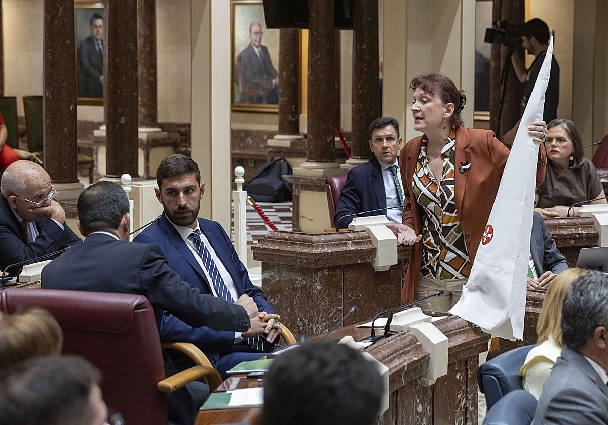 La diputada de Podemos María Marín (d) deja un capuz del Ku Klux Klan en el escaño del portavoz de Vox José Ángel Antelo (2i) y del viceportavoz Rubén Martínez (i).