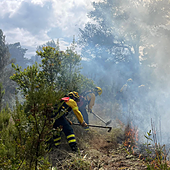 Detenido un pirómano en Moya (Gran Canaria) al que sorprendieron tratando de prender fuego a la maleza