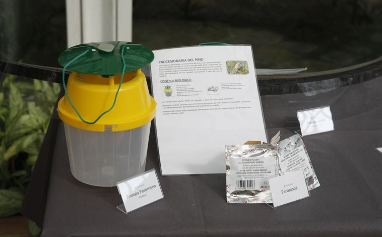 Imagen principal - Algunos de los insectos beneficiosos y trampas que se aplican en las zonas verdes de Madrid