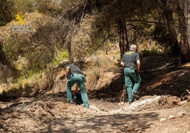 Investigan a un hombre de 43 años como presunto autor del incendio forestal que arrasó 185 hectáreas en Ibi
