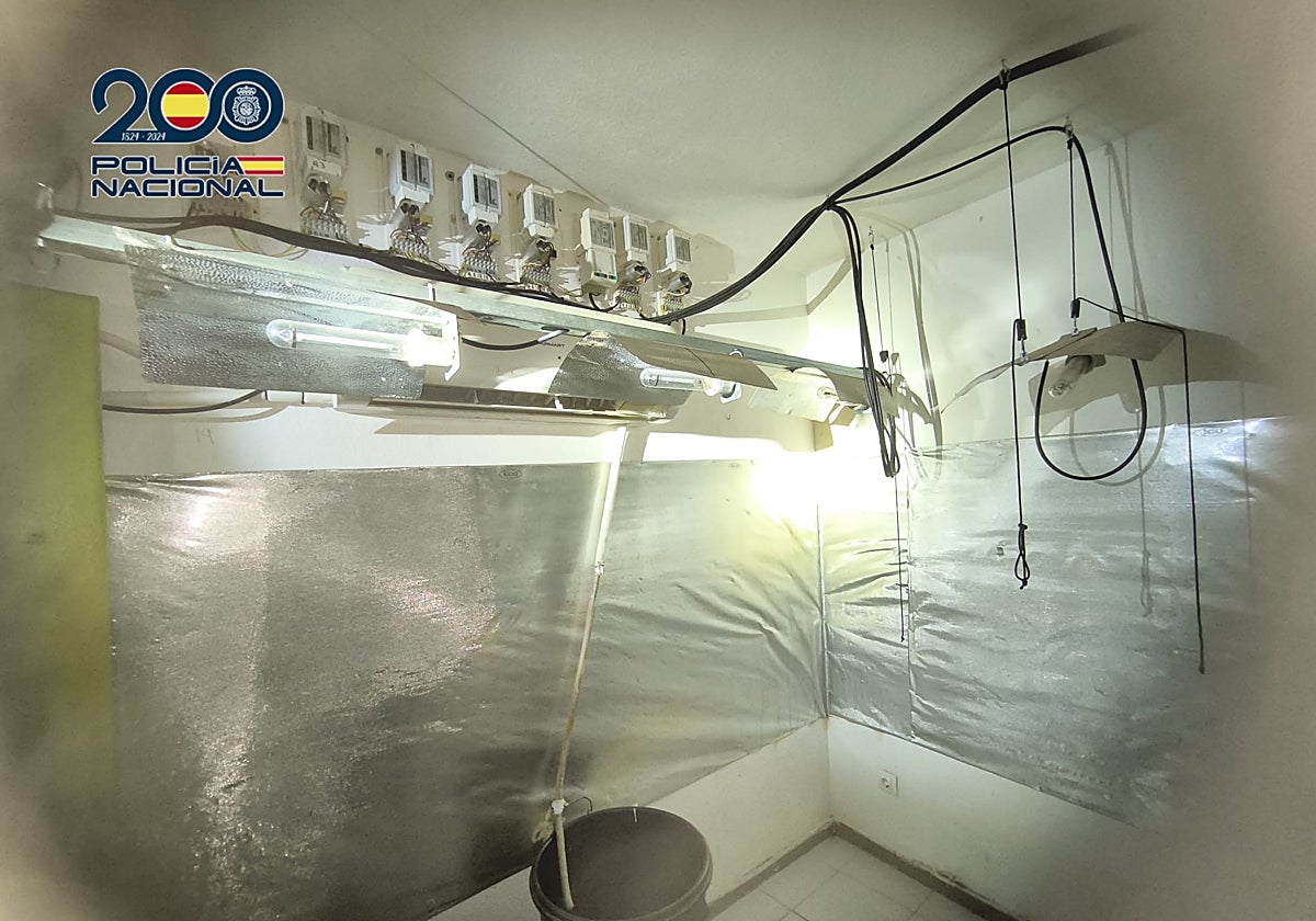 Una de las habitaciones de uno de los narcopisos dedicada al cultivo de droga