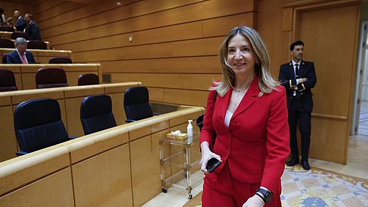 Alicia García, portavoz del PP en el Senado