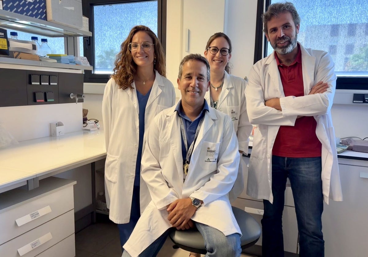 El grupo de investigación del Imibic sobre cirugía oncológica peritoneal y retroperitoneal