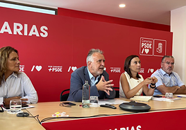 Torres critica «la incapacidad» de CC-PP para gestionar los problemas reales de Canarias