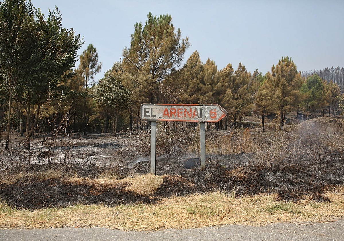 El perímetro del incendio del Valle del Tiétar, al sur de la provincia de Ávila, ya no presenta llama