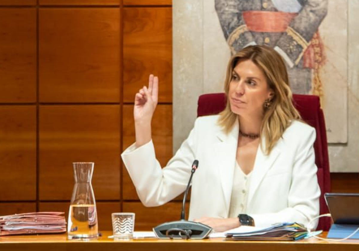 Paloma Tejero, en un pleno del Ayuntamiento de Pozuelo de Alarcón