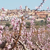 El pueblo de Cataluña en el que veranea Gabriel Rufián todos los años