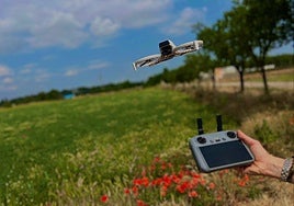 Un dron guardián que mitiga plagas y ahuyenta aves: «Las palomas destruyen el 30% de las cosechas»