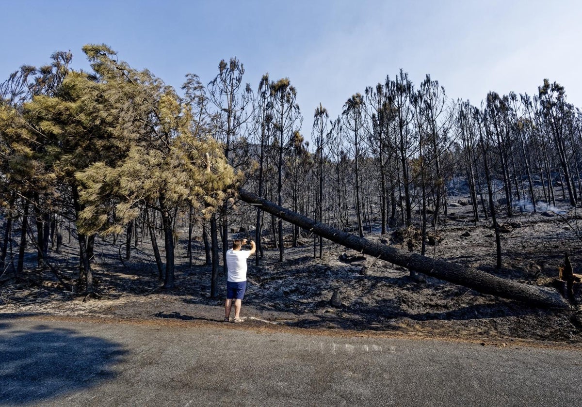 Una persona fotografía parte de la superficie quemada en el incendio del Valle del Tíetar (Ávila)