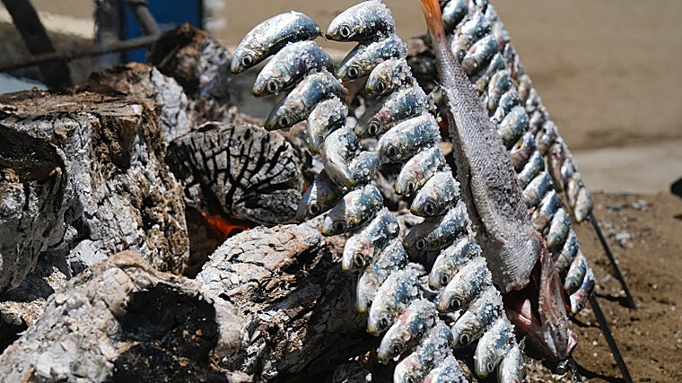 Espetos recién colocados al fuego de leña de olivo: técnica, precisión y equilibrio para una cocción perfecta