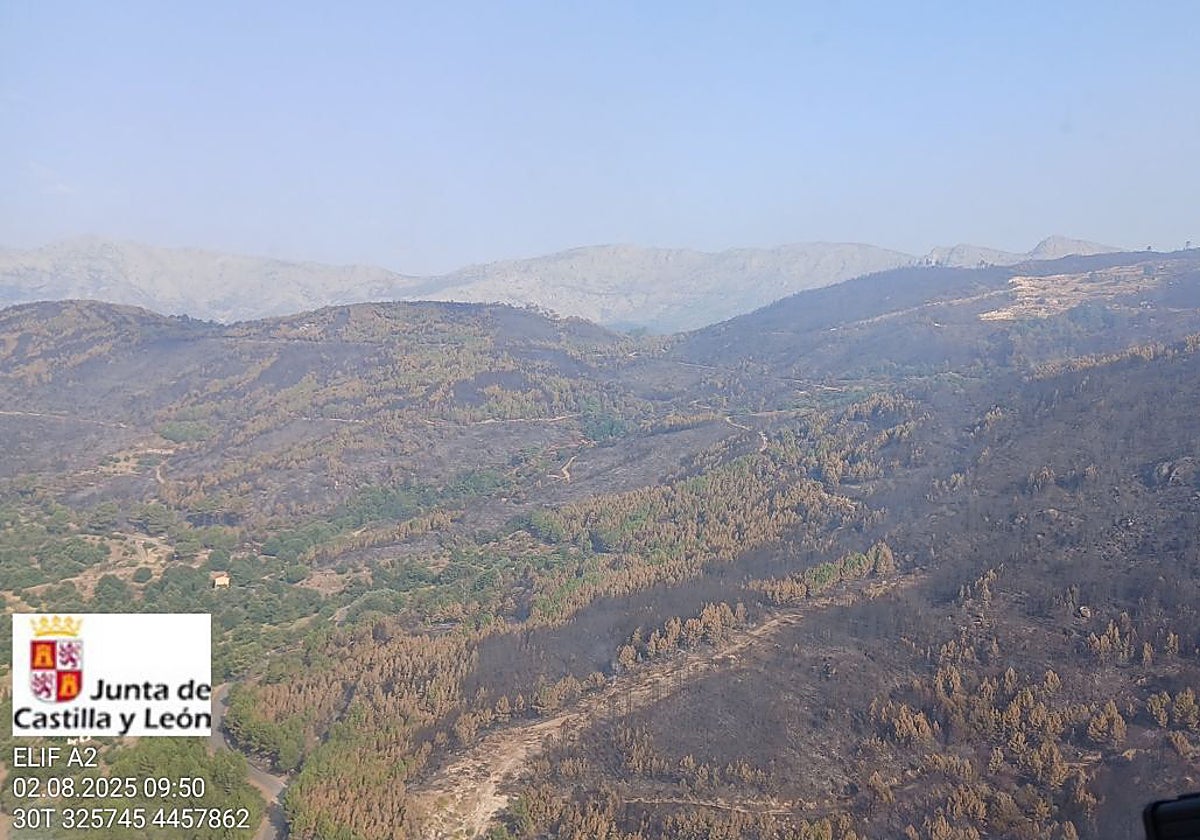 Una imagen de la zona del incendio donde se distingue que ya no hay ninguna columna de humo