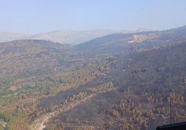 El incendio del Valle del Tiétar ya no humea después de más de cuatro días