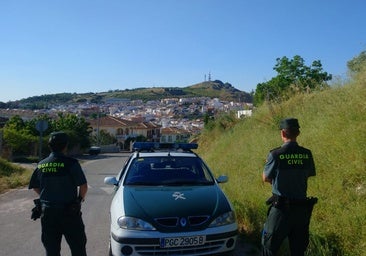 Detenida una vecina de Luque tras arrojar un perro desde un balcón