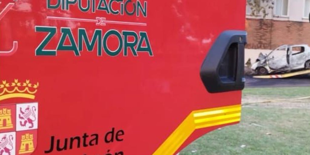 Muere tras chocar contra un árbol y arder el vehículo en la provincia de Zamora