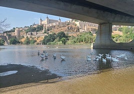 «Ni siquiera los patos nadan en el Tajo a su paso por Toledo; andan porque no hay profundidad suficiente»
