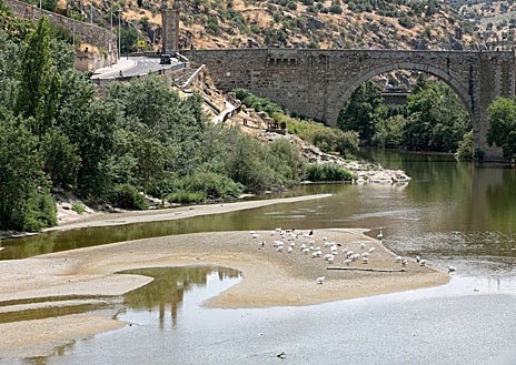 Imagen secundaria 1 - Las imágenes del río Tajo, entre los puentes de Alcántara y Azarquiel, son desoladoras. Arenas acumuladas a consecuencia de los arrastres de las lluvias de marzo, llenan de isletas este tramo. 