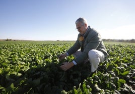 Del campo a la mesa: la desconocida tienda de fruta y verdura que está a 15 minutos de Córdoba