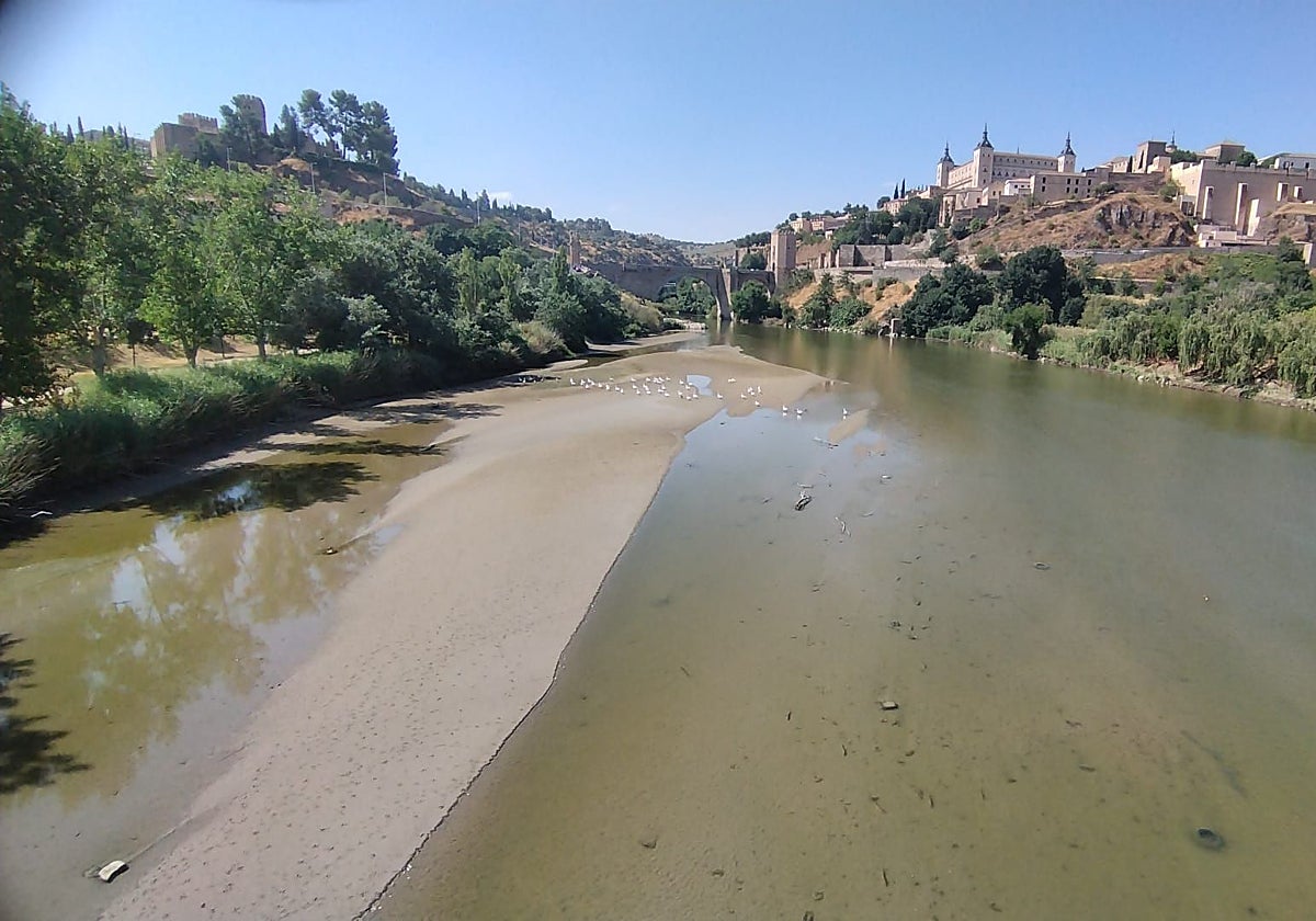 Estado del río Tajo este verano de 2025 a su paso por Toledo