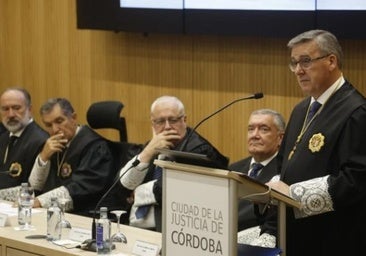 El presidente de la Audiencia teme el colapso del Juzgado de Violencia por el aumento de competencias