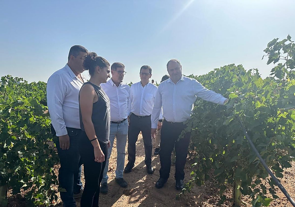 El consejero de Agiricultura ha visitado una explotación agraria en Villacañas