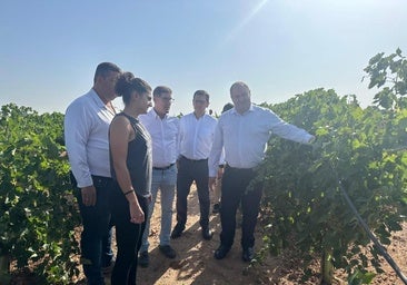 El Gobierno regional advierte de que la futura PAC pone en riesgo la agricultura ecológica y el relevo generacional